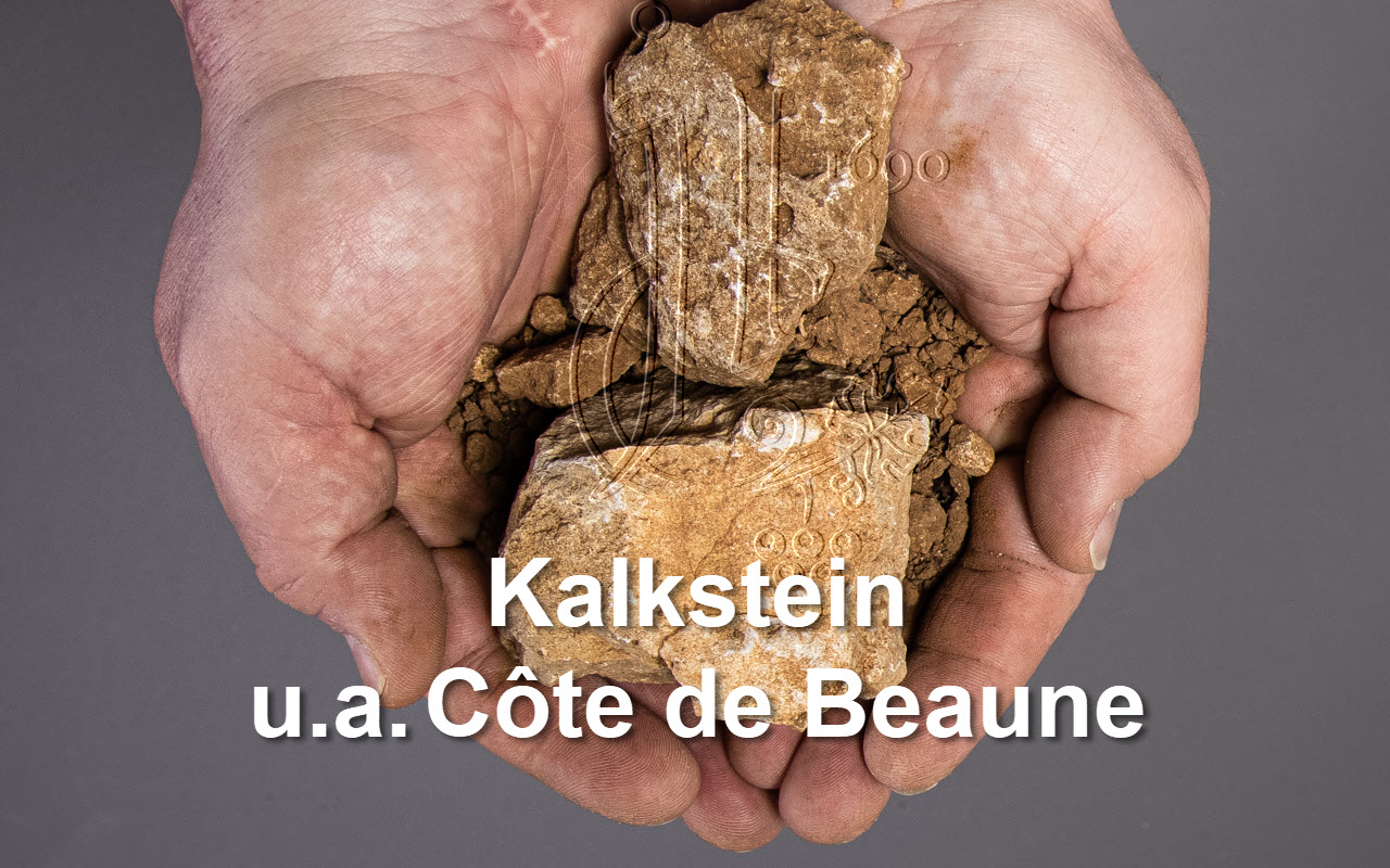 2015 Santenay Les Carmélites "Kalkstein" Côte de Beaune Burgund, Frankreich   