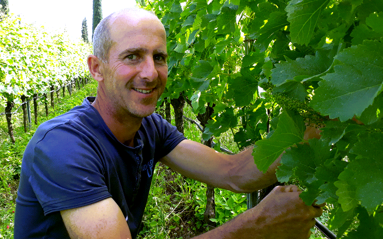 NUR AUF VORBESTELLUNG! 2021 Setaria Pinot Bianco Bio Demeter "Moränenschotter Sand" Alto Adige (Südtirol), Italien