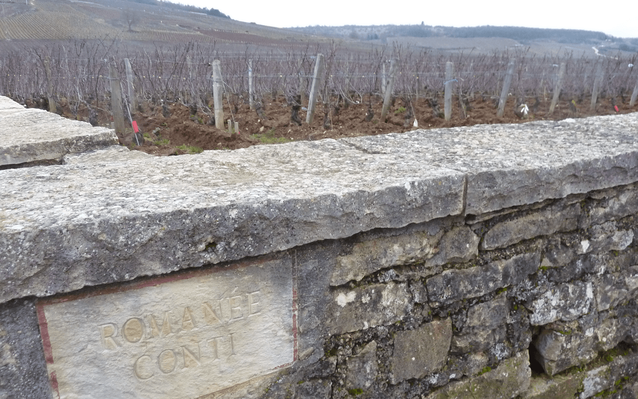 2017 Pinot Noir Bourgogne "Kalkstein" Côte d'Or Burgund, Frankreich