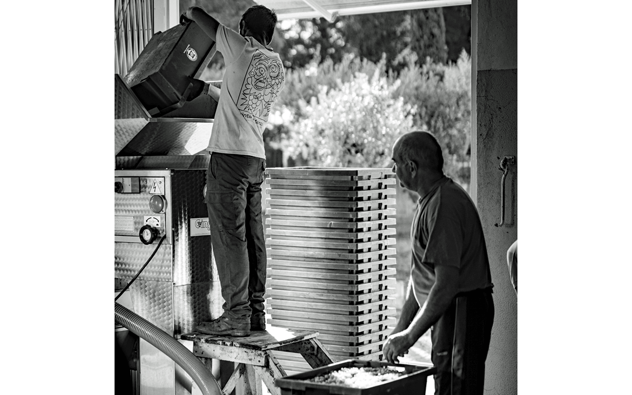 2015 Lagar Tinto, Rotwein, Quinta da Falorca, Dão, Portugal